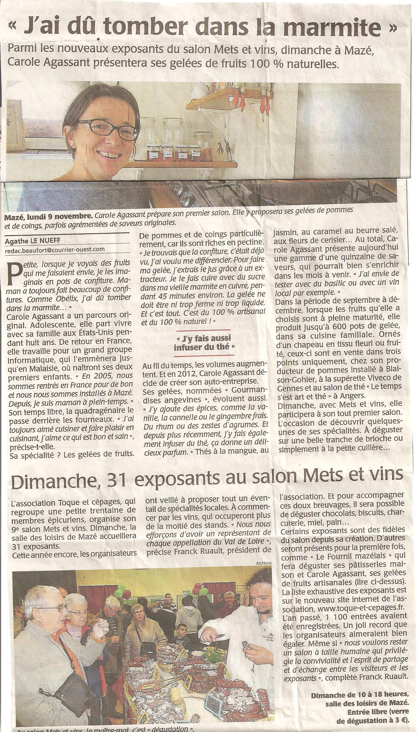 2015 article pré-salon